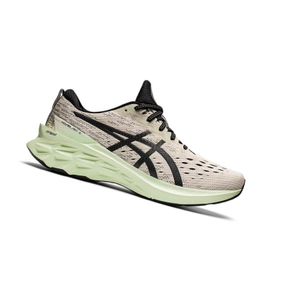 Beige Men's Asics NOVABLAST 2 Running Shoes | US91465UN