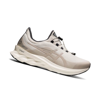 Beige Men's Asics NOVABLAST Running Shoes | US95623DQ