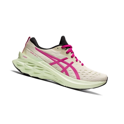 Birch / Pink Rave Women's Asics NOVABLAST 2 Running Shoes | US42580MK