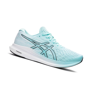 Blue / Black Women's Asics EvoRide 3 Running Shoes | US04689SP