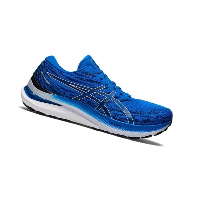 Blue / White Men's Asics GEL-KAYANO 29 Running Shoes | US23174OV