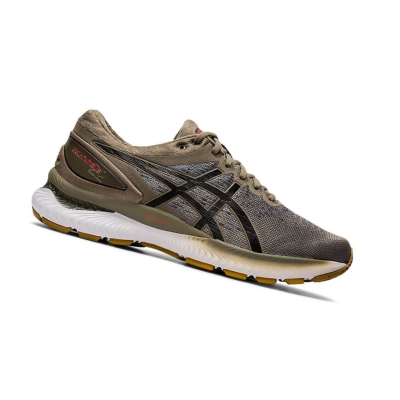 Brown Men's Asics GEL-NIMBUS 22 Knit Running Shoes | US89720UA