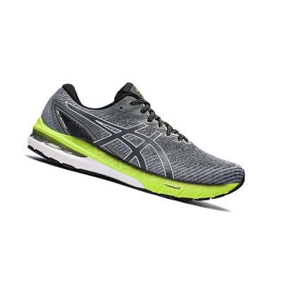 Carrier Grey / White Men's Asics GT-2000 10 (2E) Running Shoes | US43576DR