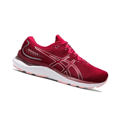 Cranberry / Frosted Rose Women's Asics GEL-CUMULUS 24 Running Shoes | US71054NS