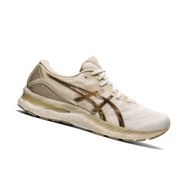 Cream Men's Asics GEL-NIMBUS 23 EARTH DAY Running Shoes | US01349VU