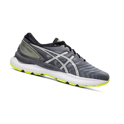 Grey Men's Asics GEL-NIMBUS 22 LITE-SHOW Running Shoes | US28951NR