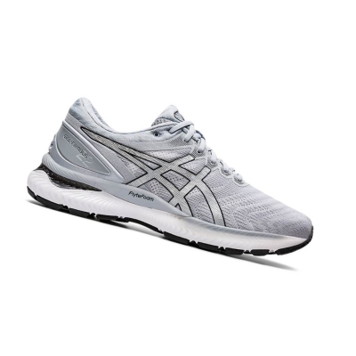 Grey Men's Asics GEL-NIMBUS 22 Running Shoes | US98452GS