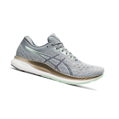 Grey Women's Asics EVORIDE Running Shoes | US50631IE