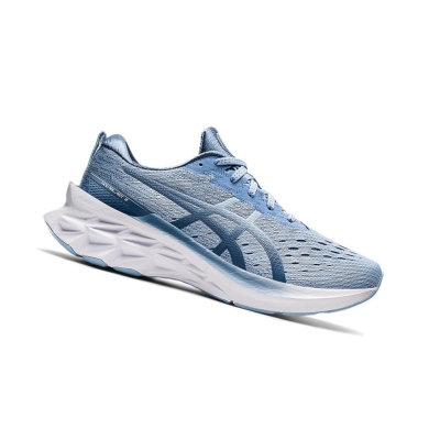 Grey Women's Asics NOVABLAST 2 Running Shoes | US06827WF