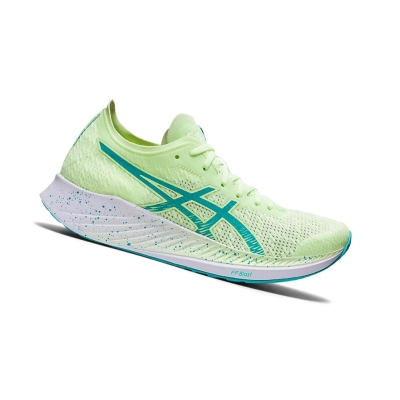 Illuminate Yellow / Sea Glass Women's Asics MAGIC SPEED Running Shoes | US73159LG