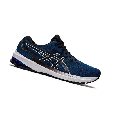 Lake Drive / Black Men's Asics GT-1000 11 (2E) Running Shoes | US58304FT