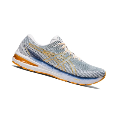 Light Steel / Amber Men's Asics GT-2000 10 Running Shoes | US83014VA