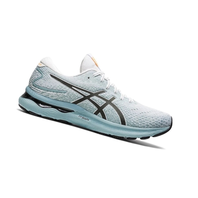 Light Steel / White Men's Asics GEL-NIMBUS 24 Running Shoes | US28056WO