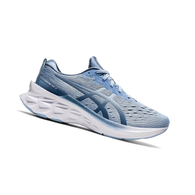 Mist / Soft Sky Women's Asics NOVABLAST 2 Running Shoes | US09518TN