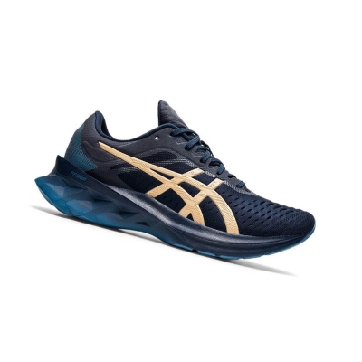 Navy Women's Asics NOVABLAST Running Shoes | US46930WZ