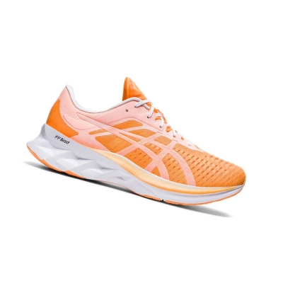 Orange Men's Asics NOVABLAST Modern Tokyo Running Shoes | US74602RQ