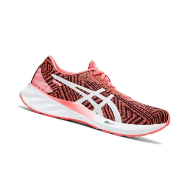 Red Women's Asics ROADBLAST Running Shoes | US95304ZO