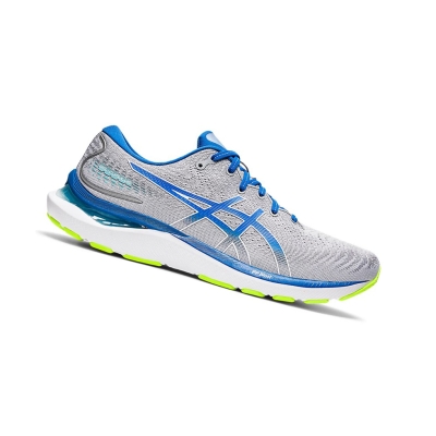 Sheet Rock / Lake Drive Men's Asics GEL-CUMULUS 24 Running Shoes | US32980BO