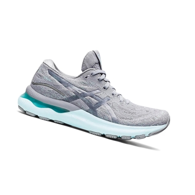 Sheet Rock / Piedmont Grey Women's Asics GEL-NIMBUS 24 MK Running Shoes | US13809CP