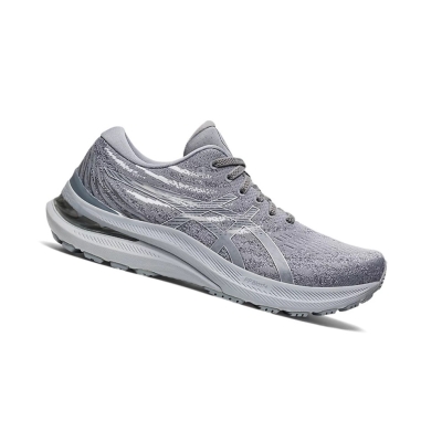 Sheet Rock / Pure Silver Women's Asics GEL-KAYANO 29 Running Shoes | US68791JW