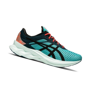 Turquoise Men's Asics NOVABLAST Running Shoes | US04867BU