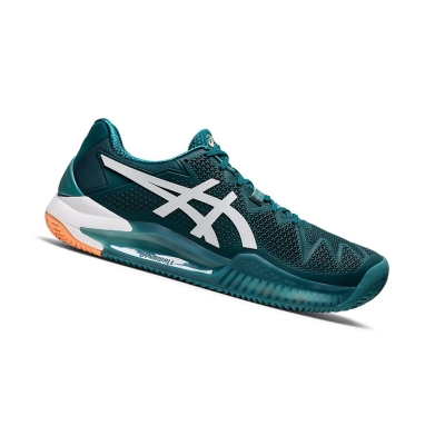 Velvet Pine / White Men's Asics GEL-RESOLUTION 8 CLAY Tennis Shoes | US67598BA