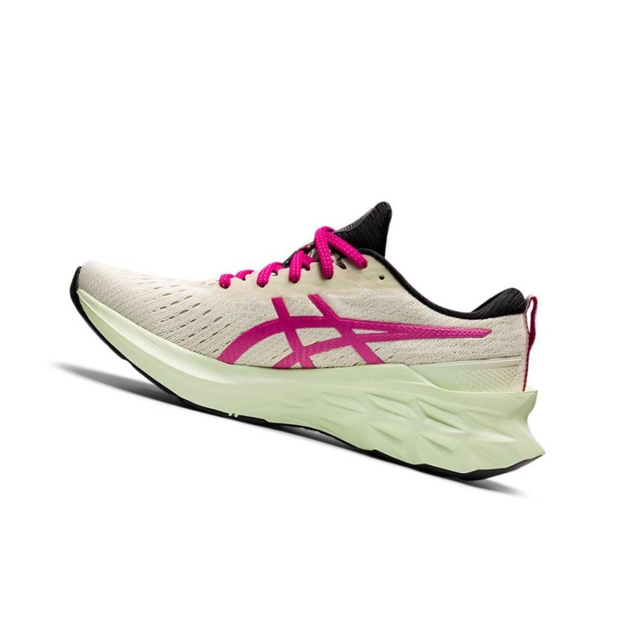 Beige Women's Asics NOVABLAST 2 Running Shoes | US40219SK