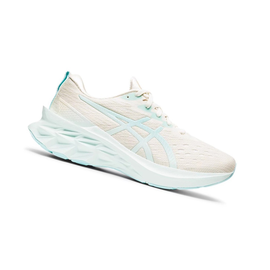 Birch / Clear Blue Women\'s Asics NOVABLAST 2 Running Shoes | US65213LN