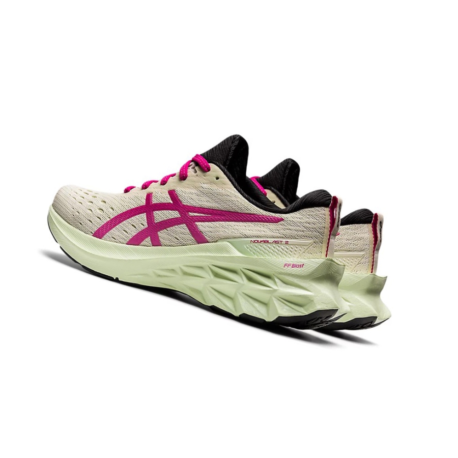 Birch / Pink Rave Women's Asics NOVABLAST 2 Running Shoes | US42580MK