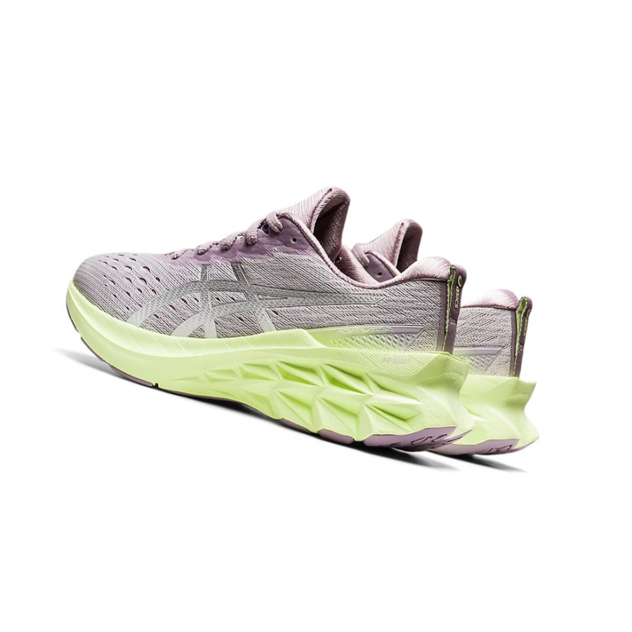 Dusk Violet / Pure Silver Women's Asics NOVABLAST 2 Running Shoes | US34702IW