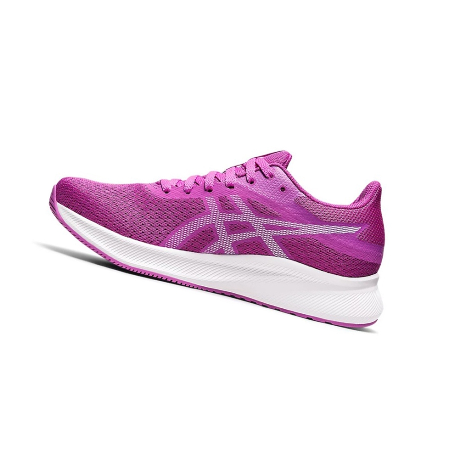 Orchid / Soft Sky Women's Asics PATRIOT 13 Running Shoes | US89173GZ