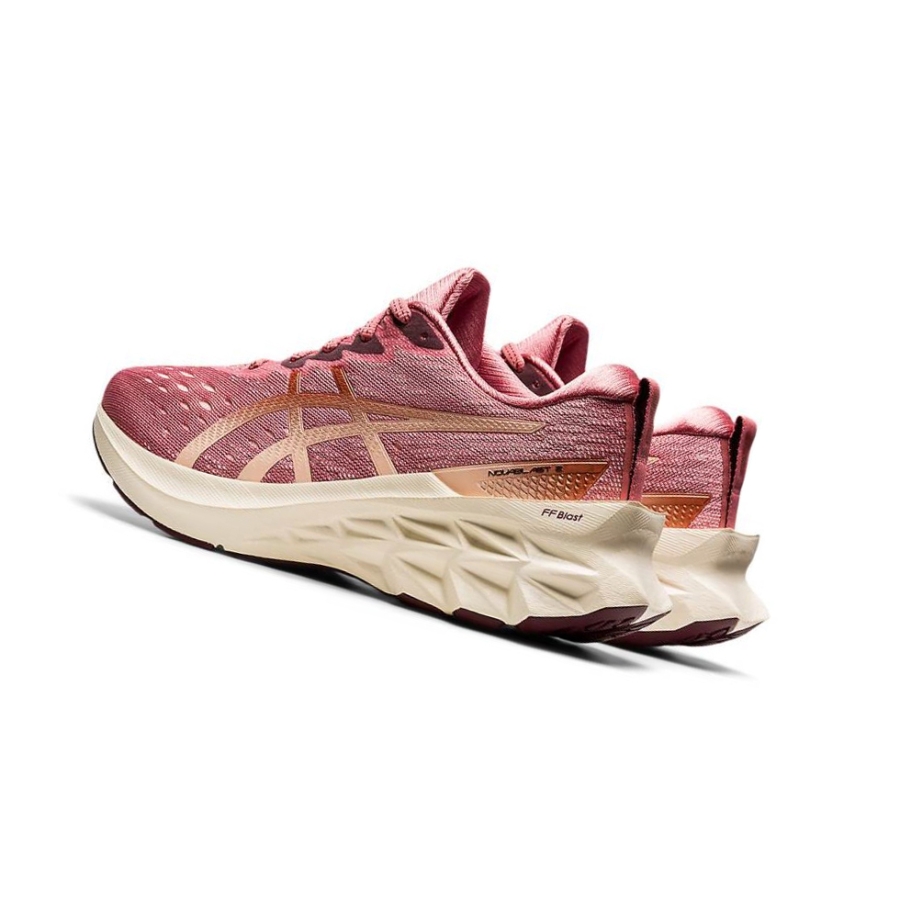 Rose Women's Asics NOVABLAST 2 Running Shoes | US61478ZD