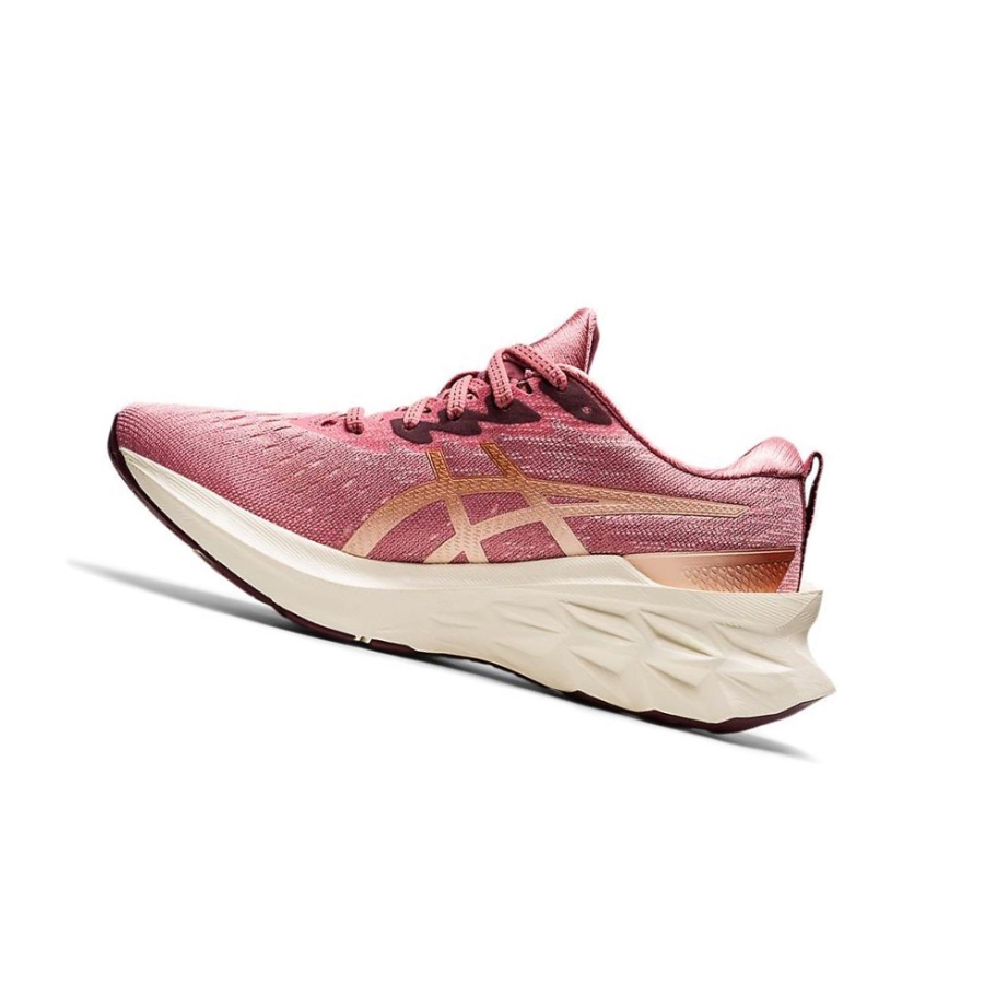 Rose Women's Asics NOVABLAST 2 Running Shoes | US61478ZD