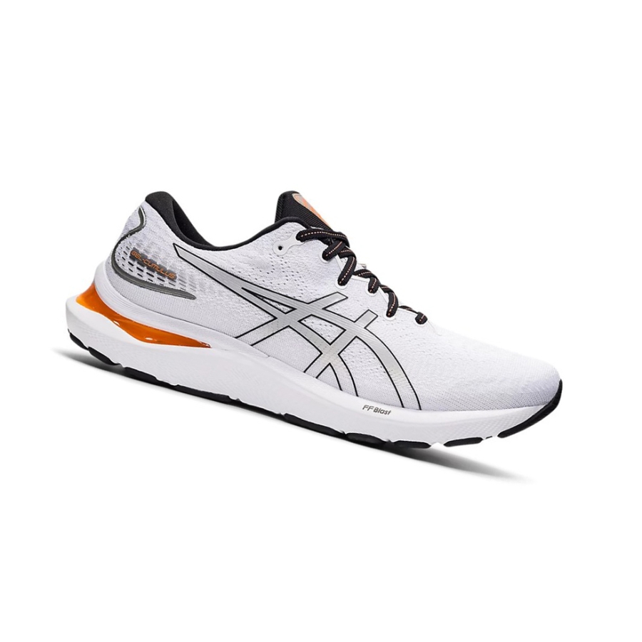 White / Piedmont Grey Men\'s Asics GEL-CUMULUS 24 Running Shoes | US25078LW